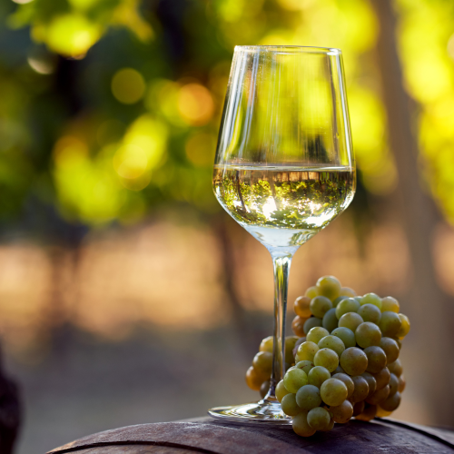 Ca' Del Lago Pinot Grigio | Italy	